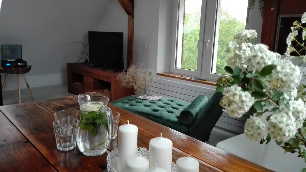 Televízia a/alebo spoločenská miestnosť v ubytovaní Brzoza i Świerk z widokiem na góry
