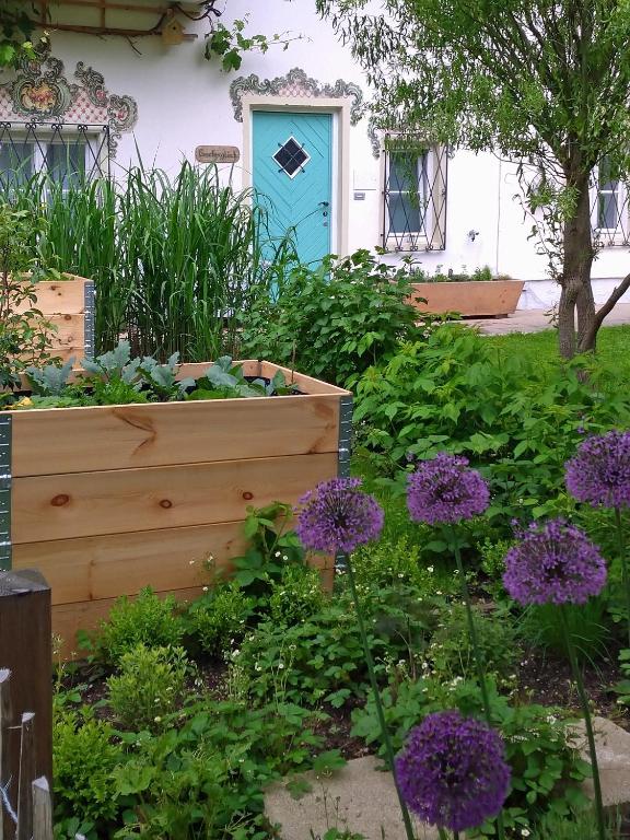 Zahrada ubytování Ferienwohnung Gartenglück