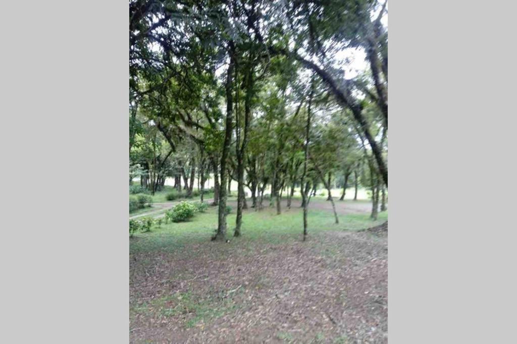 Casa aconchego  Casa aconchego