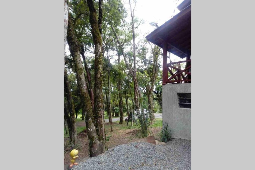 Casa aconchego  Casa aconchego