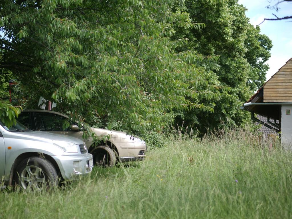 Zahrada ubytování Selanka Off road Hill View