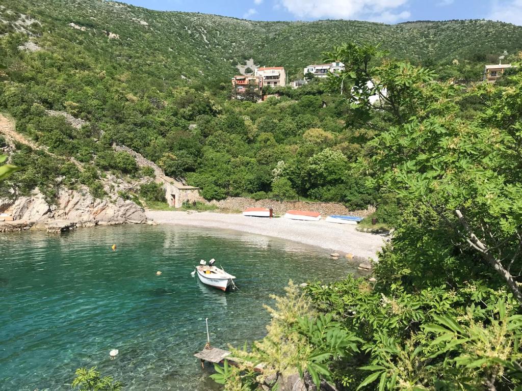 a boat in the water next to a beach at Apartments Mediterano in Senj