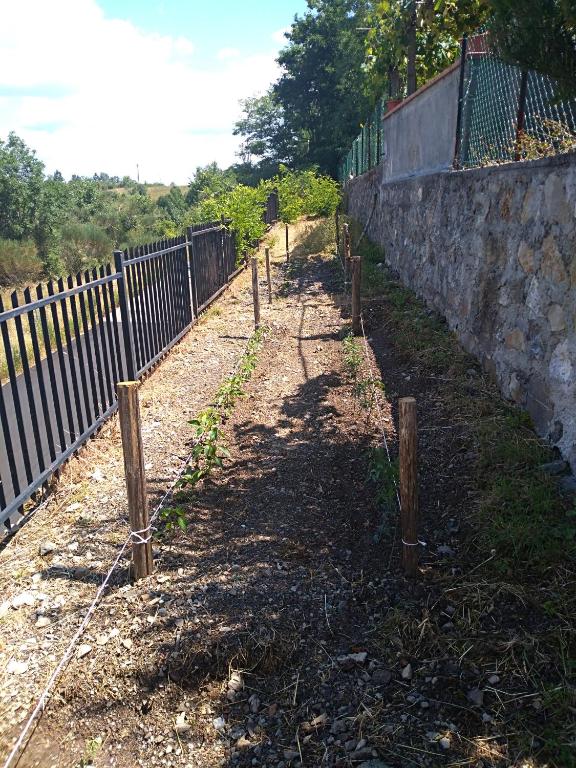 Zahrada ubytování La Locanda dei Cavalieri