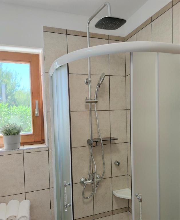 a shower in a bathroom with a glass door at Apartments Riba in Vis