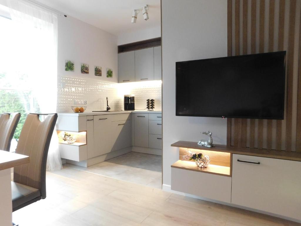 TV a/nebo společenská místnost v ubytování Apartament Zielone Wzgórze