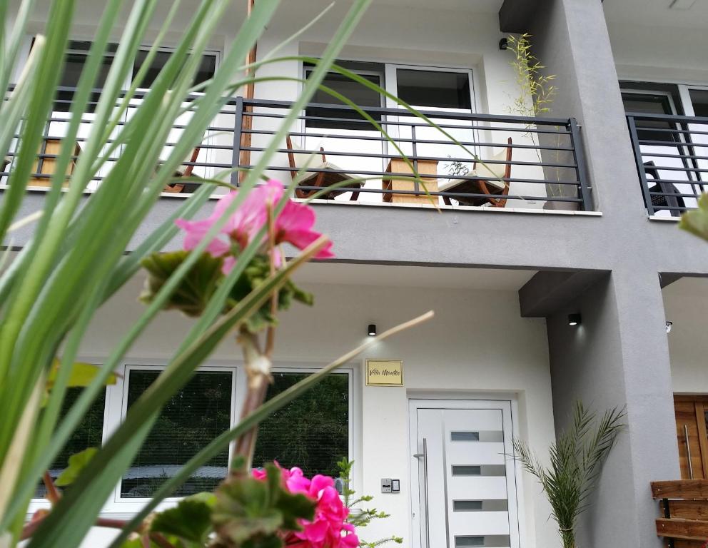 a dog sitting on the balcony of a house at Villa Manteo in Ohrid