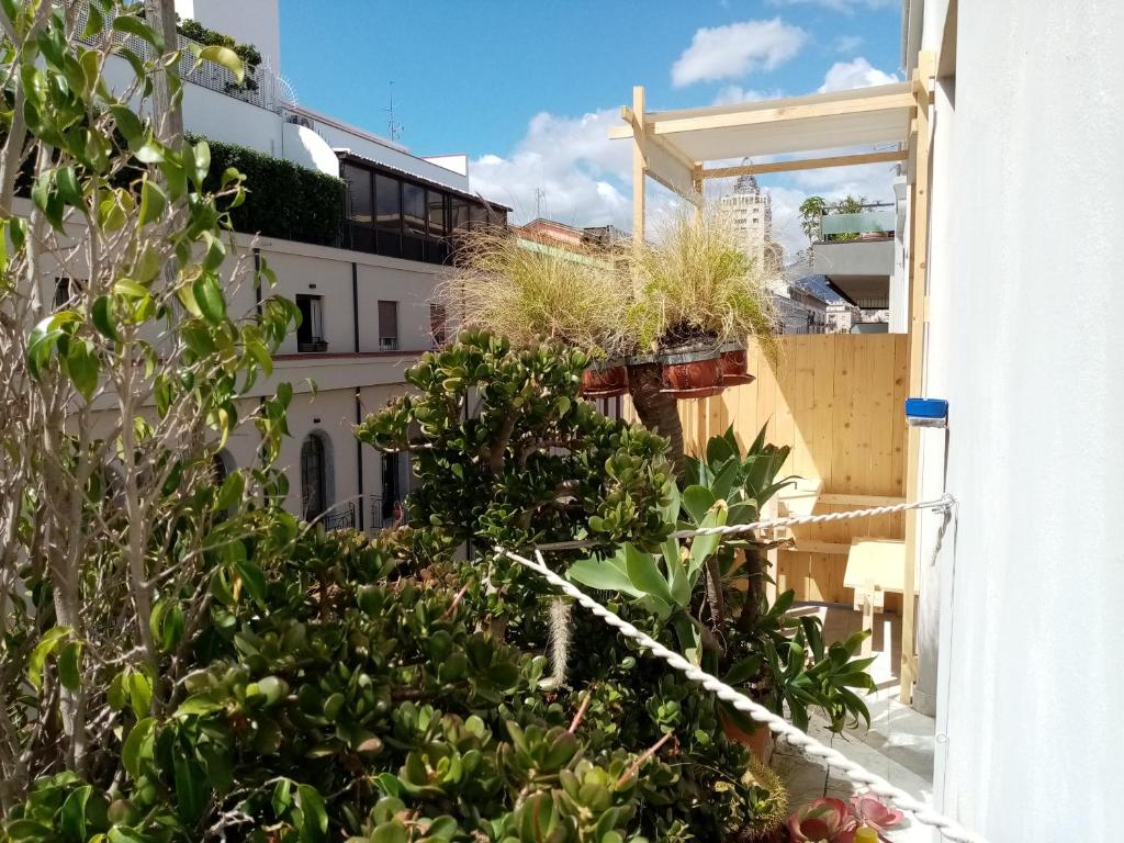 a balcony with potted plants on a building at Ariston Petit Hotel in Palermo