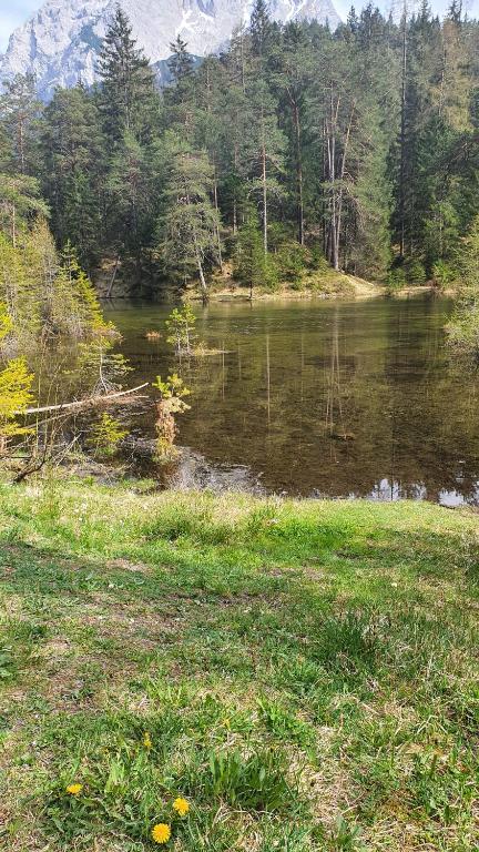 Příroda nedaleko apartmánu