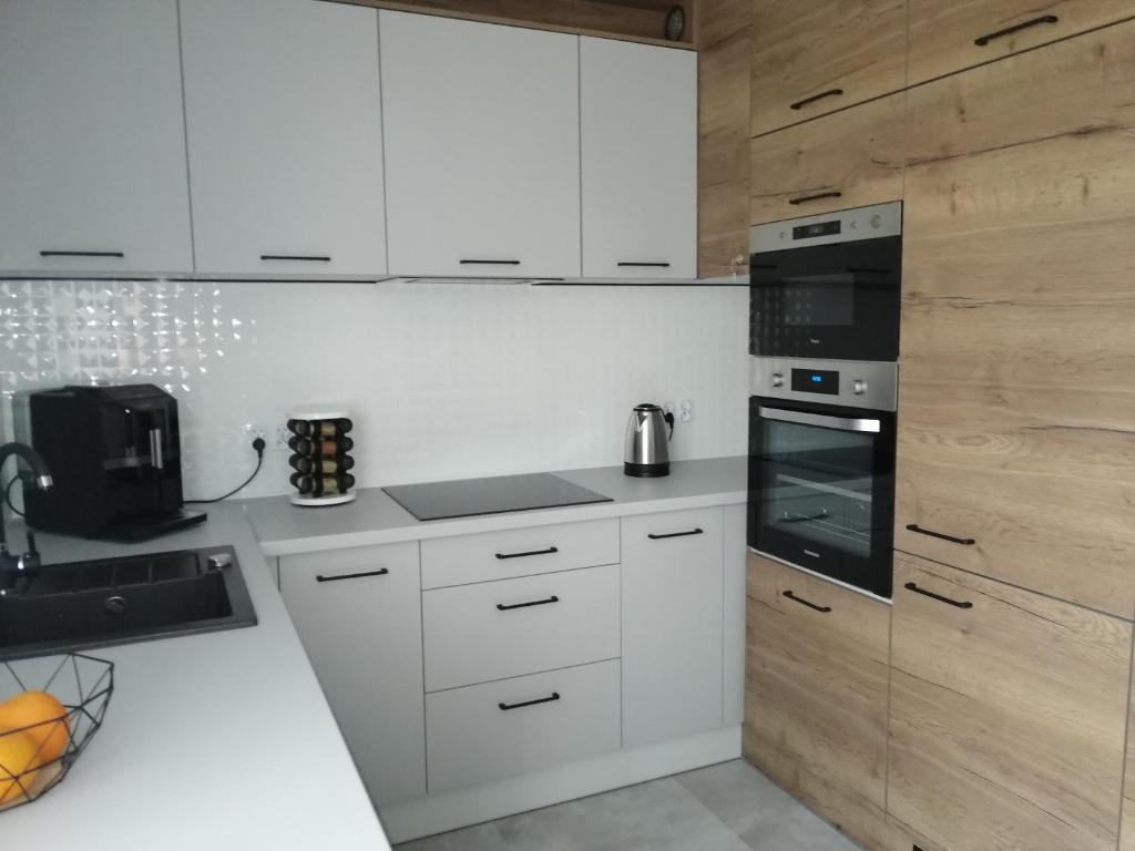 Kuchyň nebo kuchyňský kout v ubytování Apartament Zielone Wzgórze