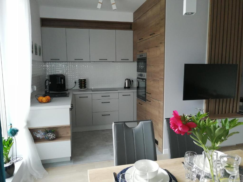 Kuchyň nebo kuchyňský kout v ubytování Apartament Zielone Wzgórze