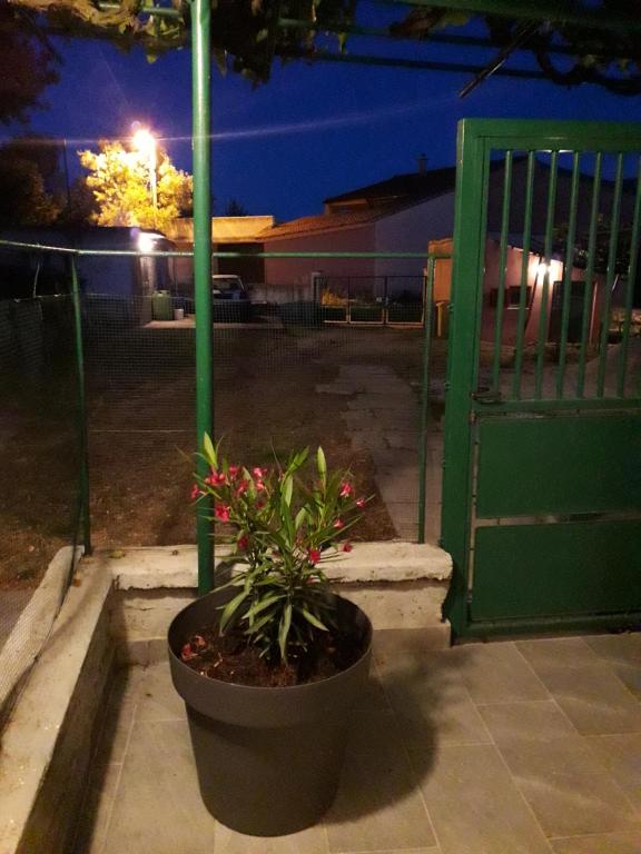 Zdjęcie z galerii obiektu Apartments Alen Pula w Puli
