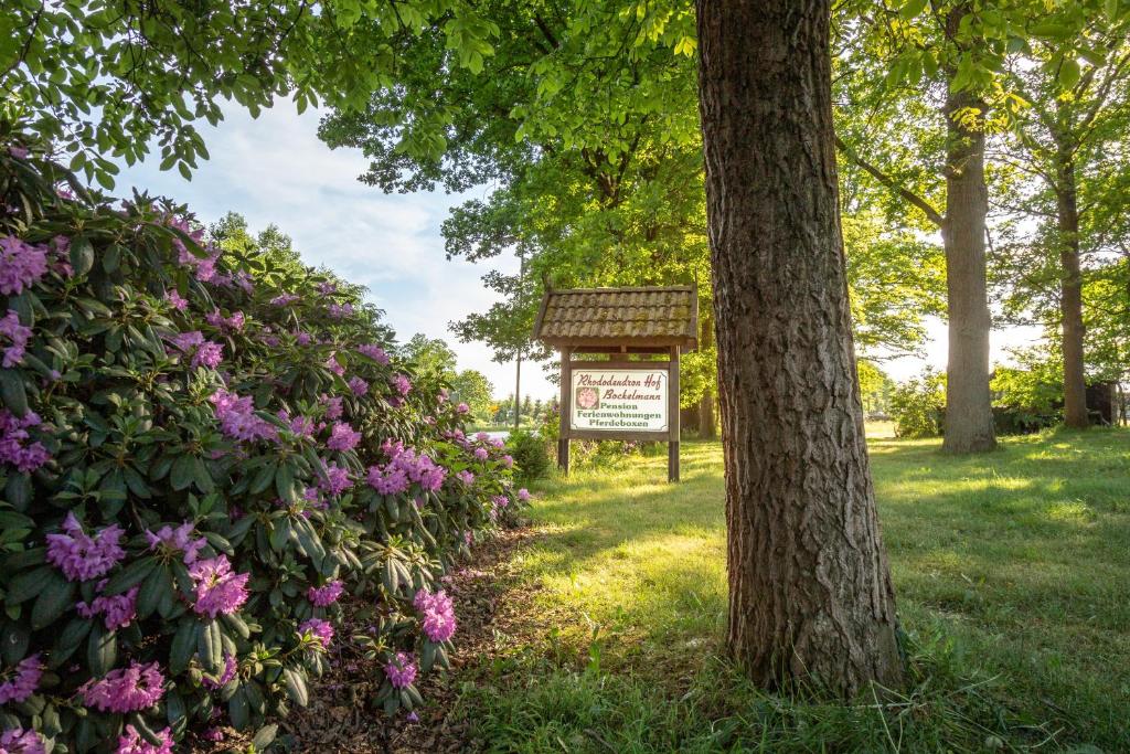 Zahrada ubytování Rhododendronhof