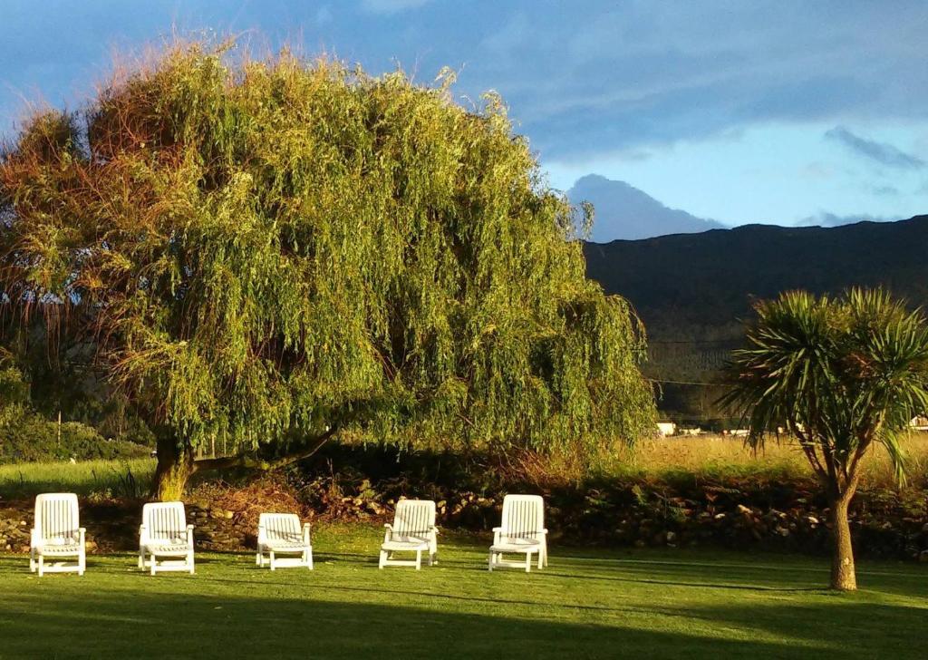 vier witte stoelen in het gras onder een boom bij Hotel Las Catedrales in Pumarín