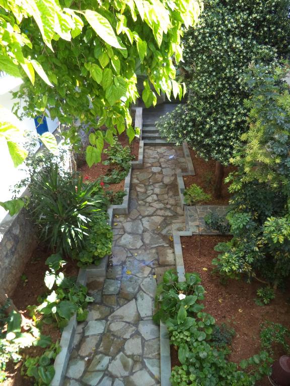 Hotel Andreas - Agistri (Skala) tesisinin dışında bir bahçe