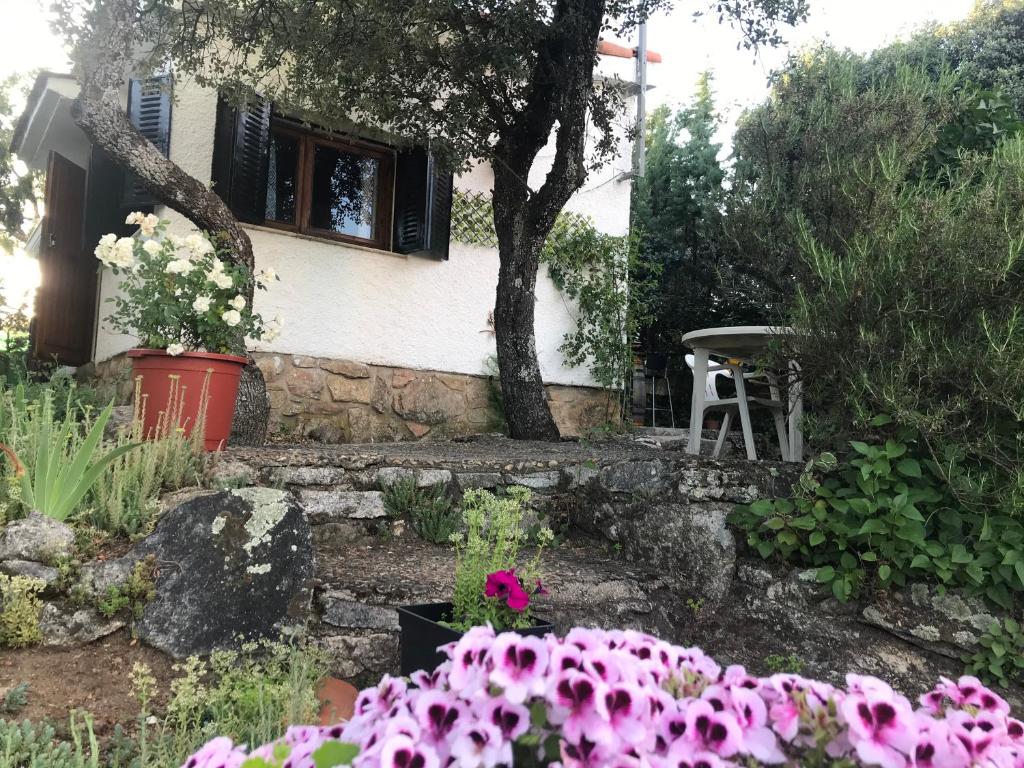 una casa con ventana y flores en un jardín en Cabaña en la naturaleza en Collado-Villalba