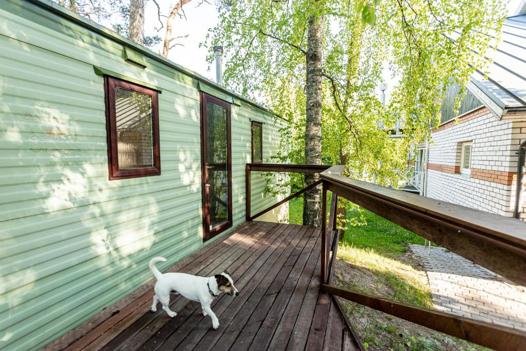 Majutusasutuse Guest House Rannaliiv külastajatega peatuv lemmikloom või lemmikloomad