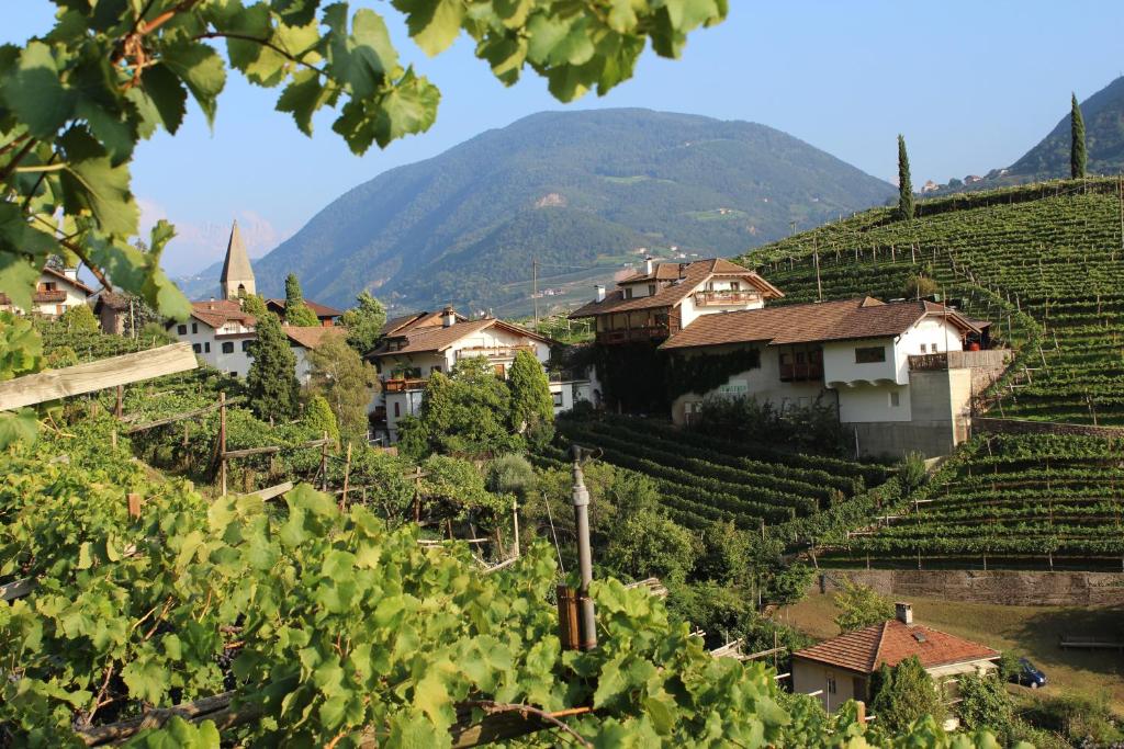 un villaggio in un vigneto con montagne sullo sfondo di Weingut Eberlehof a Bolzano