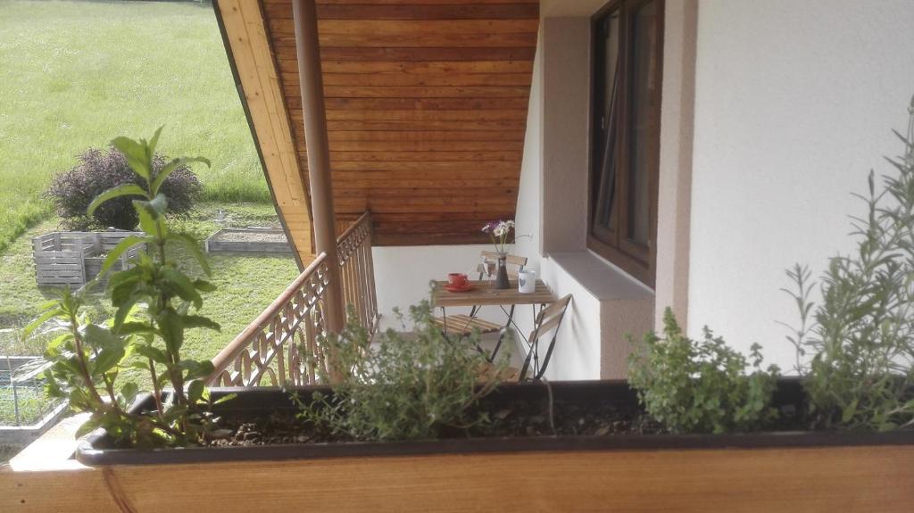 Balkón nebo terasa v ubytování Apartmány Pod Stráni