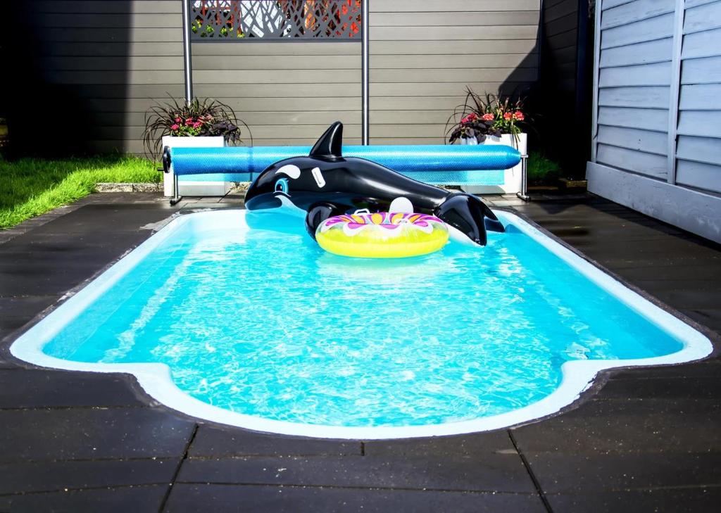 a inflatable dolphin in a pool in a backyard at Apartament Albatros in Władysławowo