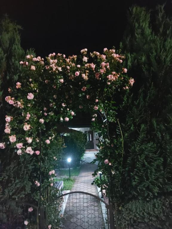 a bunch of pink roses on a gate at night at Viola i Detelina Apartments in Perućac
