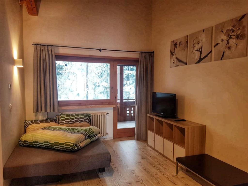 salon z łóżkiem i oknem w obiekcie Pelegrin 15 w mieście San Vigilio di Marebbe