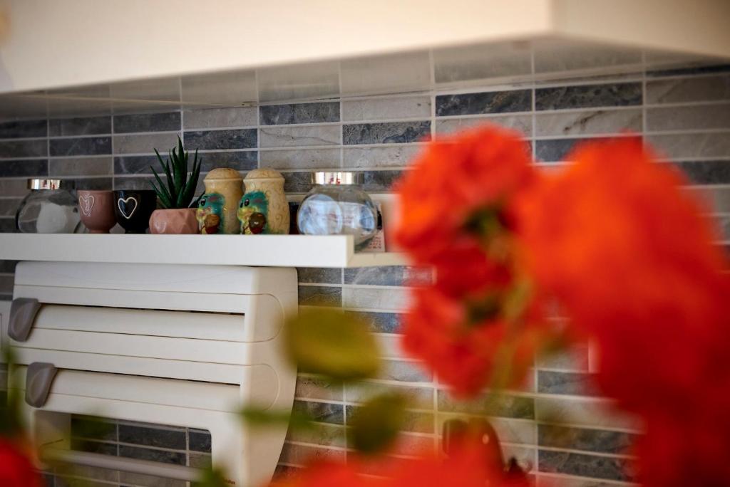 Fotografie z fotogalerie ubytování Apartments Lucija v Trogiru