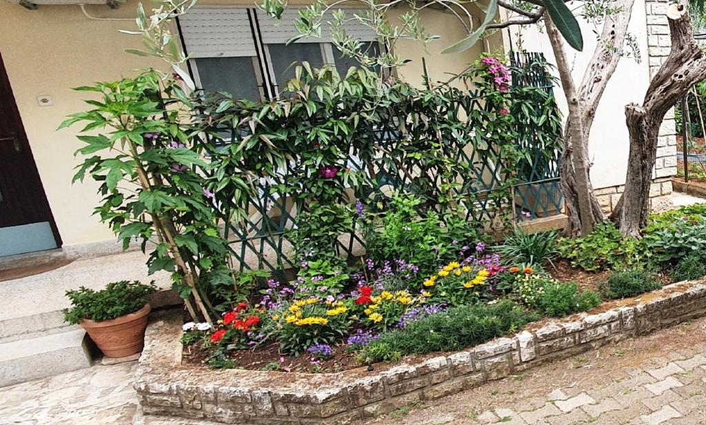 CECILLIA Mare Apartments - 17