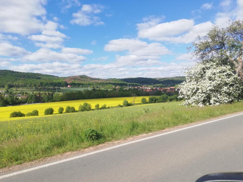 a road with a flowering tree and a field at Fam Stana in Wienrode