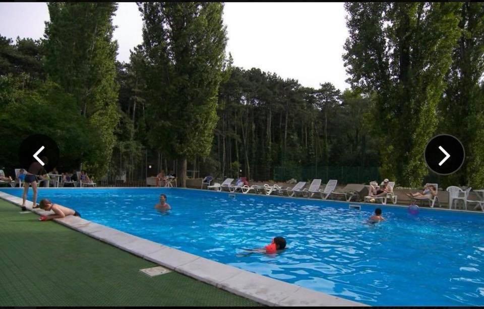 eine Gruppe von Personen, die in einem Schwimmbad schwimmen in der Unterkunft Neptun Apartman in Balatonföldvár