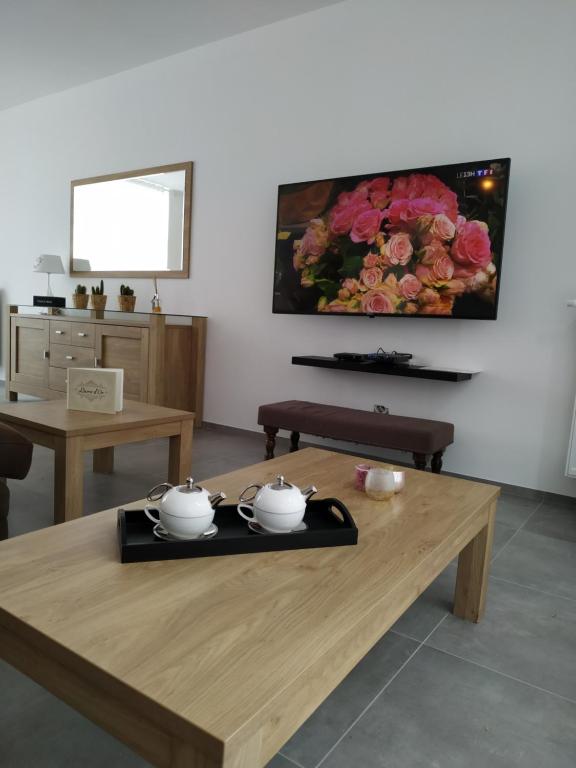 TV a/nebo společenská místnost v ubytování Robert
