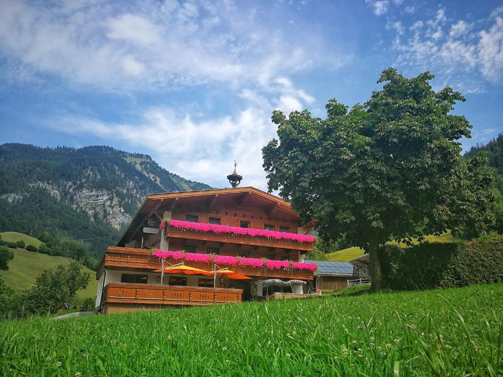 Brandenberg的住宿－Gwercherwirt，山上一座有粉红色花朵的建筑