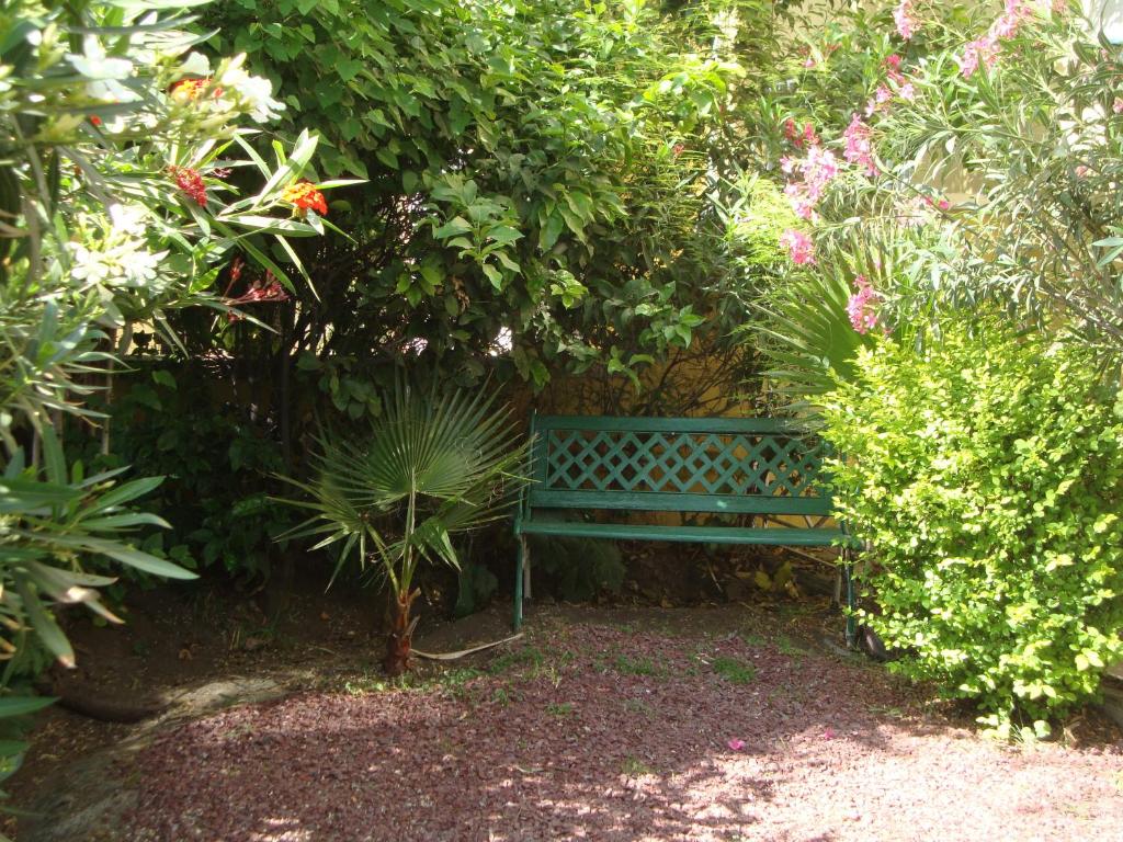 Zahrada ubytování Hotel Las Flores