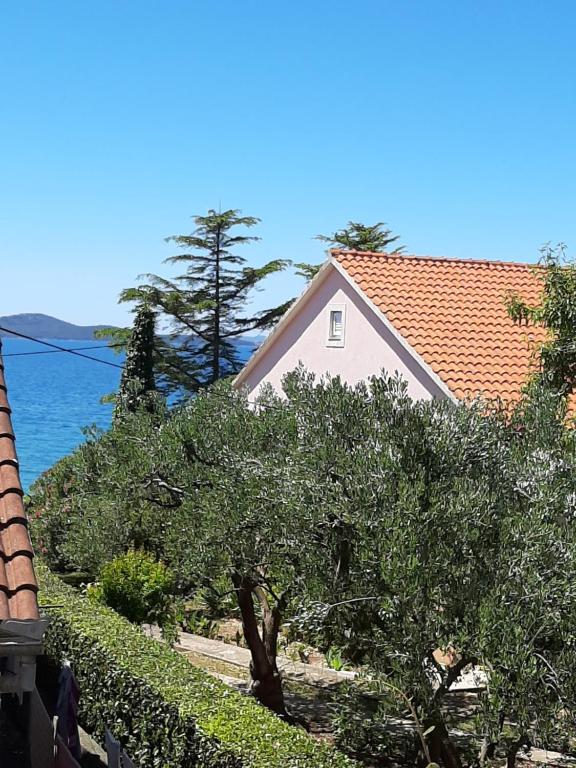 Apartments Basioli - 2