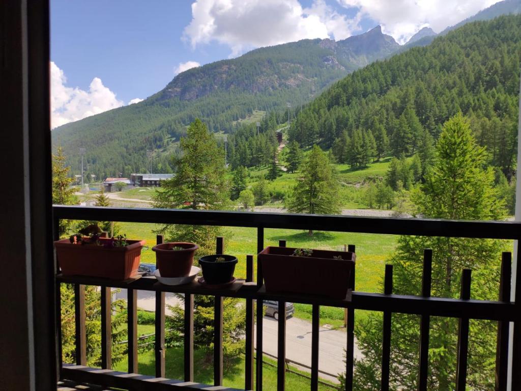 a view from a balcony with potted plants at Ca del nono in Pragelato