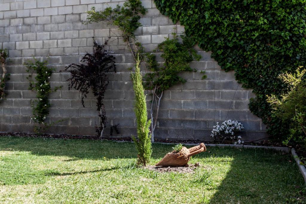 Vonkajšia záhrada v ubytovaní CASA CON JARDIN-WIFI FREE
