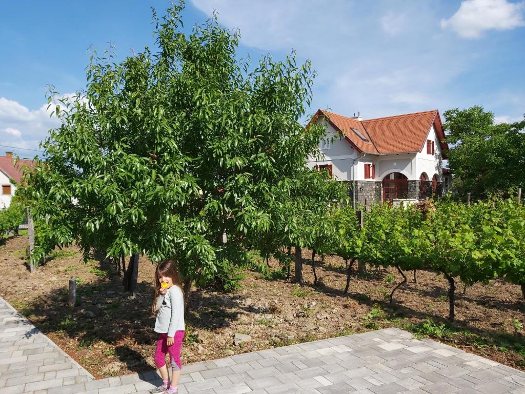 Ogród w obiekcie Villő Villa