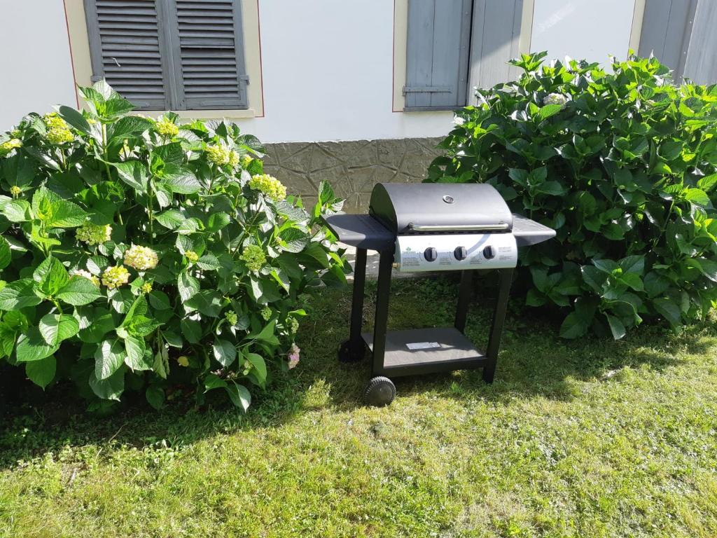 Vonkajšia záhrada v ubytovaní Bed & Breakfast La Tana dei Sognatori