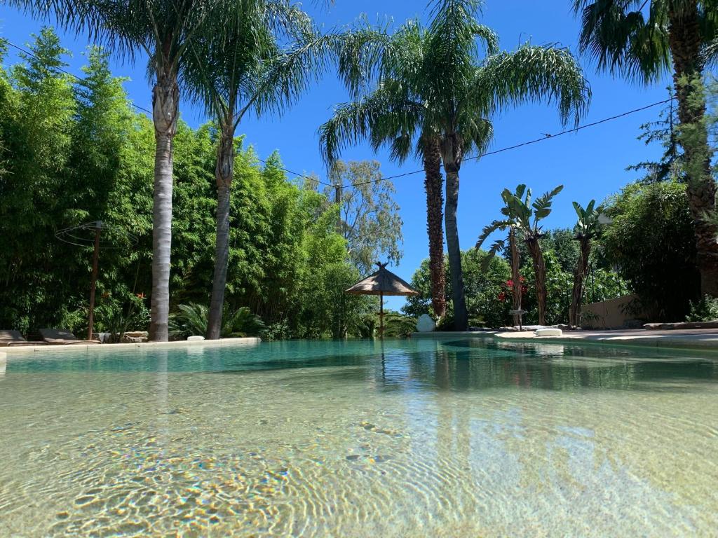 a pool of water with palm trees in the background at Cannes Villa St Barth in Cannes