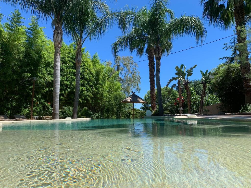 un bassin d'eau avec des palmiers en arrière-plan dans l'établissement Cannes Villa St Barth, à Cannes