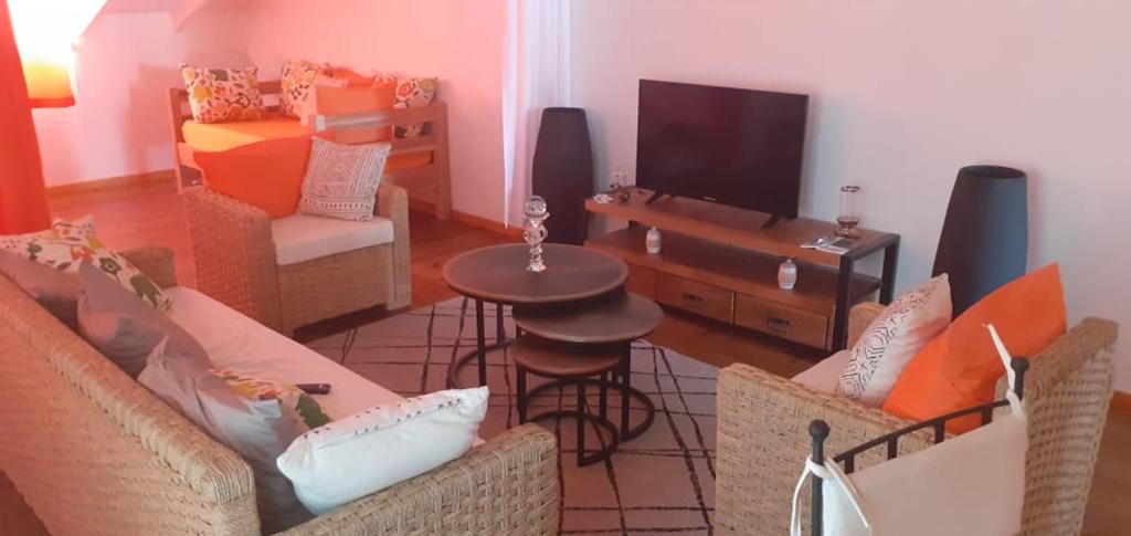 a living room with a couch and a tv at La mélodie des oiseaux in Grand-Bourg