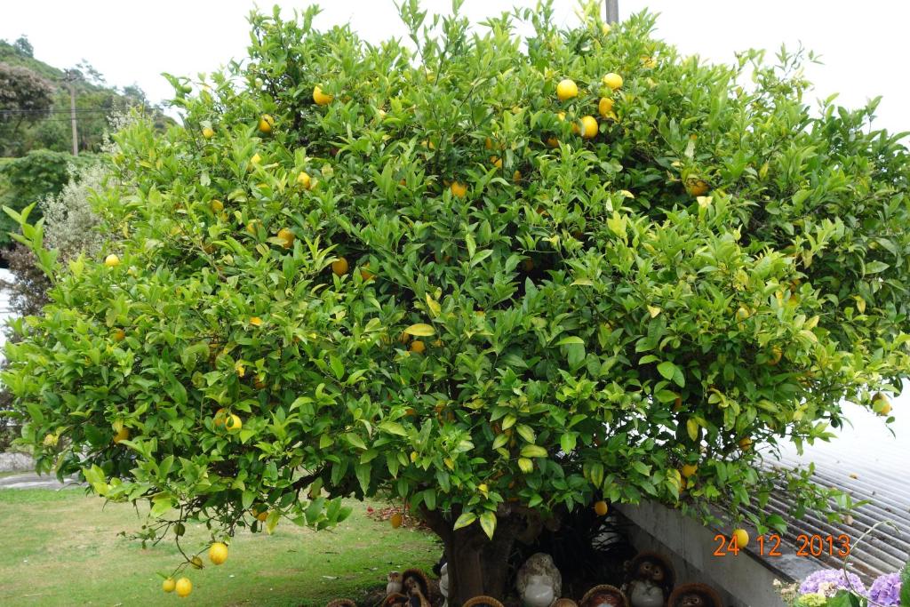 Beachside Sunnyvale Motel - Resim 32