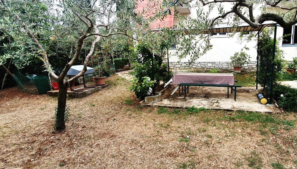 CECILLIA Mare Apartments - 16