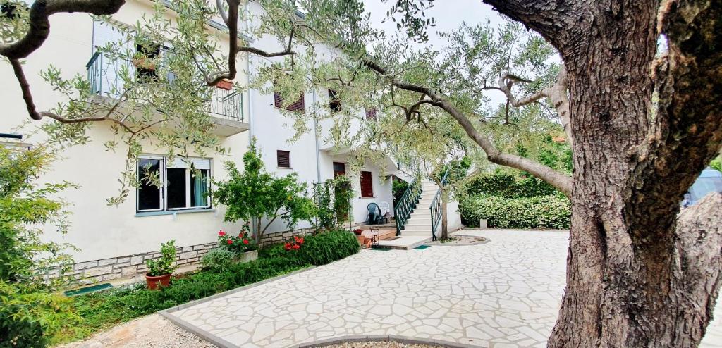 una casa blanca con un árbol delante en CECILLIA Mare Apartments, en Rovinj