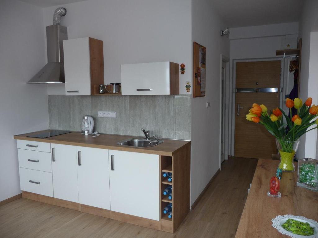 Kuchyň nebo kuchyňský kout v ubytování Apartman Q11