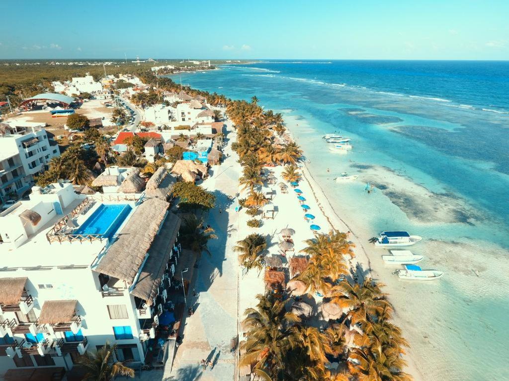 an aerial view of a beach with palm trees and the ocean at Hotel Blue Reef frente al mar in Mahahual