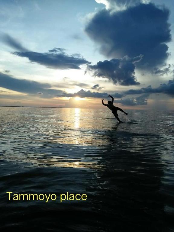 Příroda nedaleko chaty