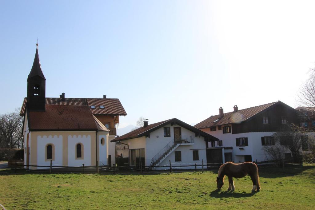 Zvířata v apartmánu nebo okolí