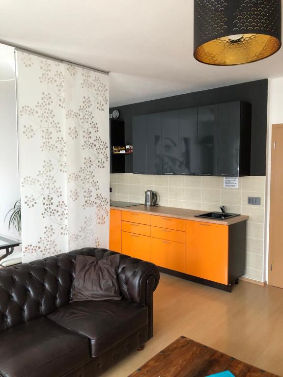 Kuchyň nebo kuchyňský kout v ubytování Richie Apartment near Aquapark