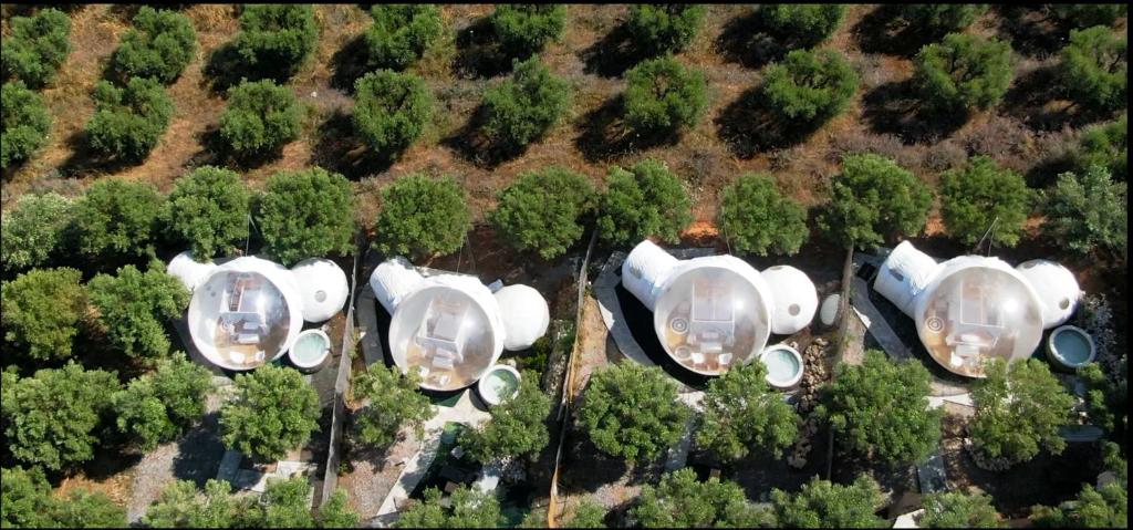 Bubble Suites