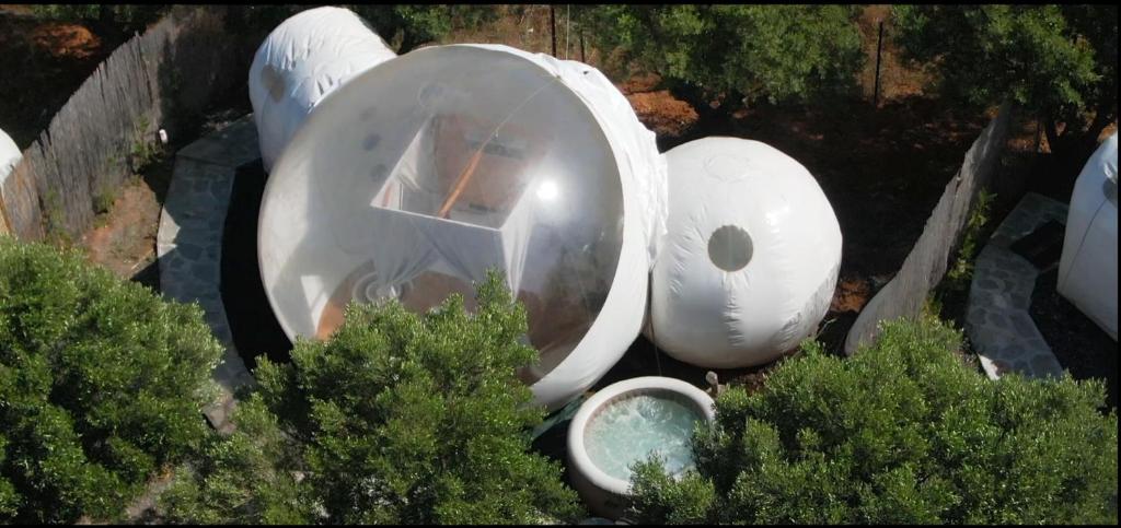 Bubble Suites